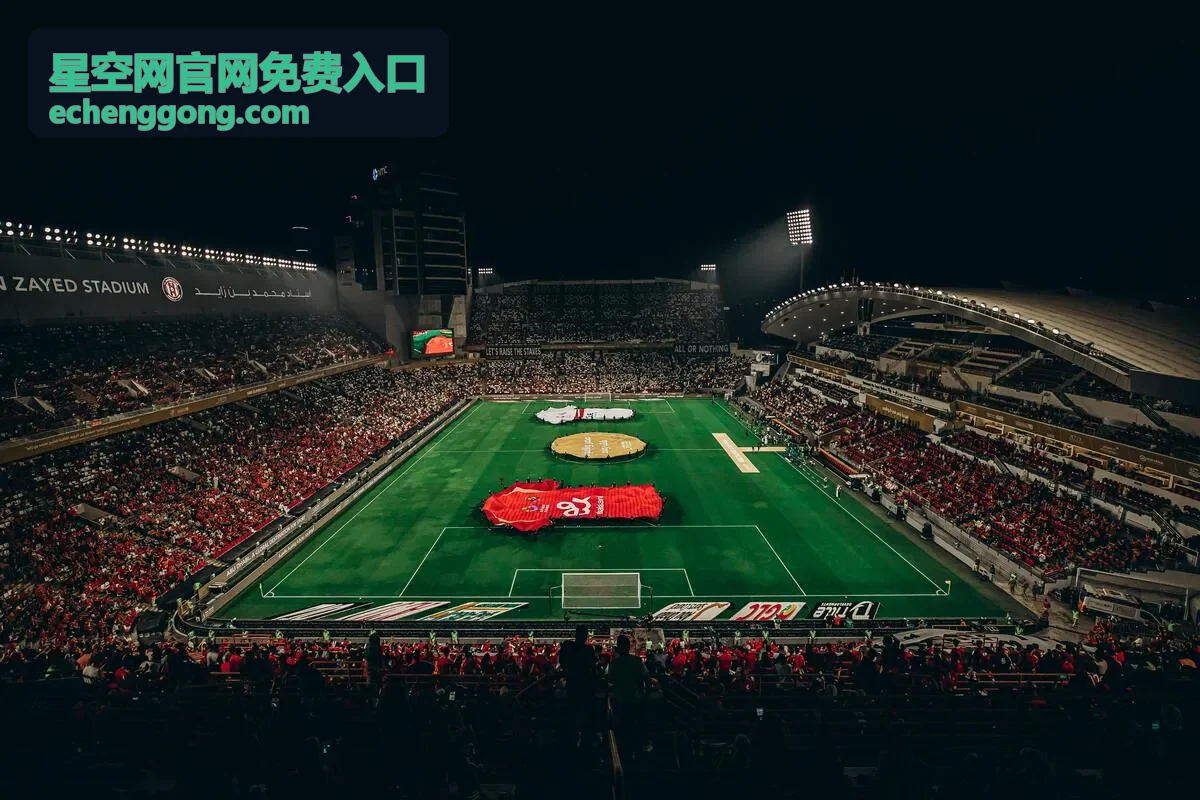 星空网官网免费入口访问界面示意